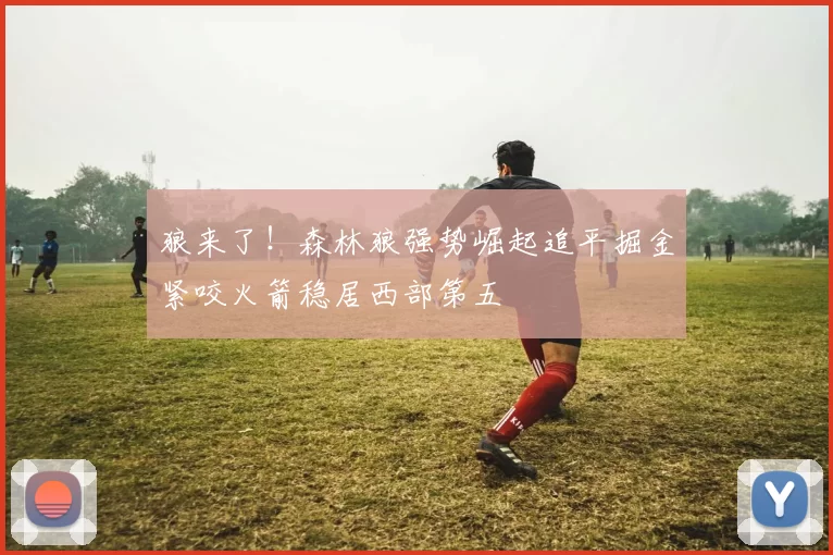 狼来了！森林狼强势崛起追平掘金紧咬火箭稳居西部第五